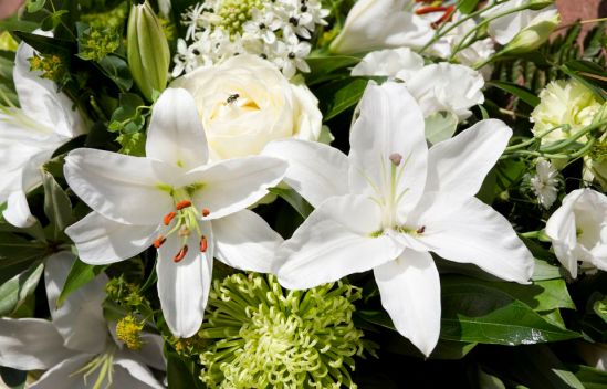 mixed-white-funeral-flowers-157436440-588120043df78c2ccd0e2b44.jpg